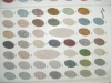 imagescatrufa6
